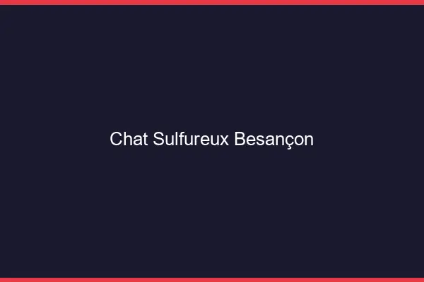 Chat Sulfureux Besançon