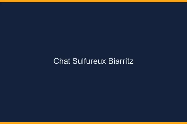 Chat Sulfureux Biarritz