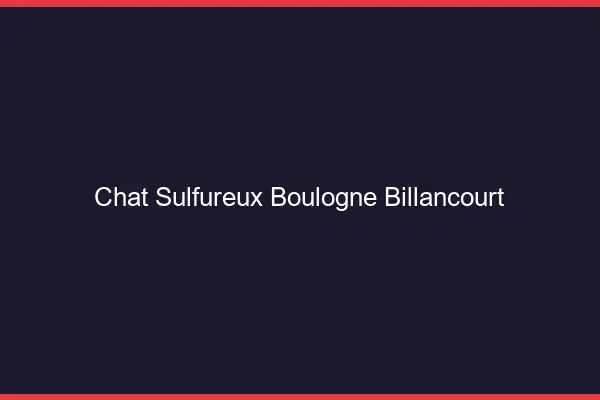 Chat Sulfureux Boulogne-Billancourt