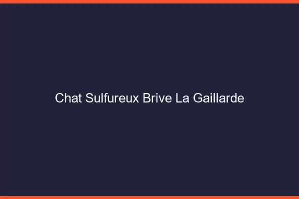 Chat Sulfureux Brive-la-Gaillarde