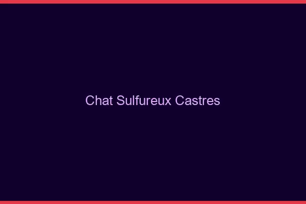 Chat Sulfureux Castres