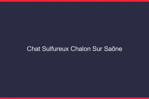 Chat Sulfureux Chalon-sur-Saône