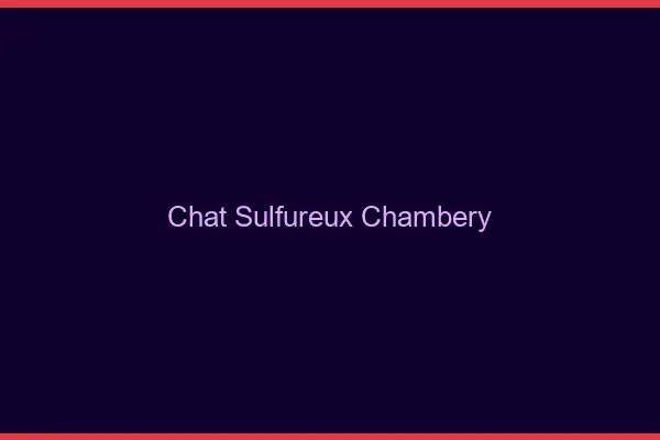 Chat Sulfureux Chambéry