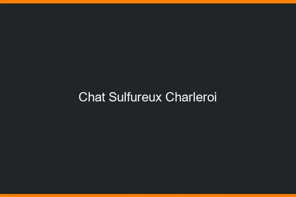 Chat Sulfureux Charleroi