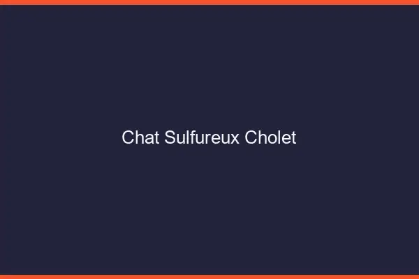 Chat Sulfureux Cholet