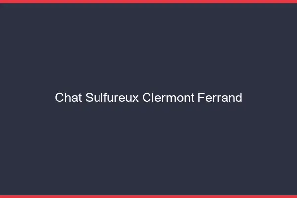 Chat Sulfureux Clermont-Ferrand