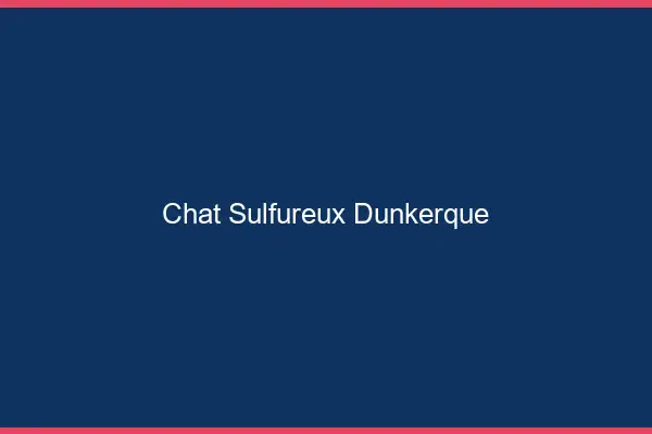 Chat Sulfureux Dunkerque