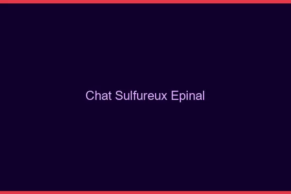 Chat Sulfureux Épinal