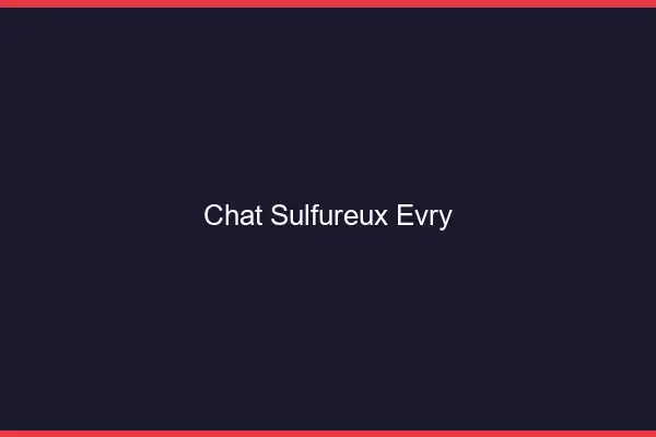 Chat Sulfureux Évry