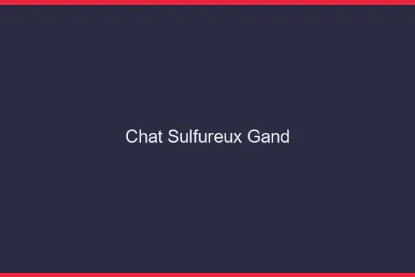 Chat Sulfureux Gand