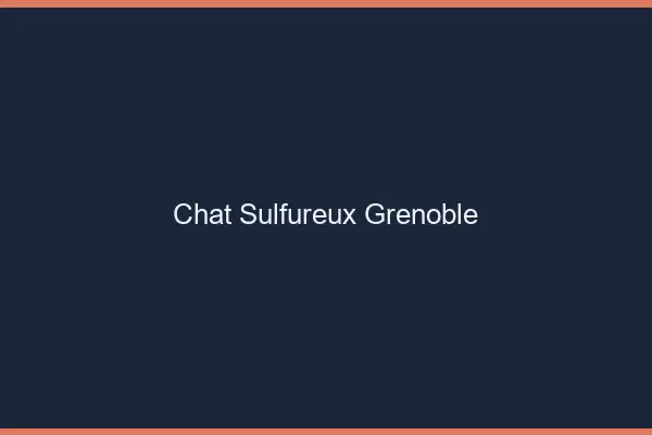 Chat Sulfureux Grenoble