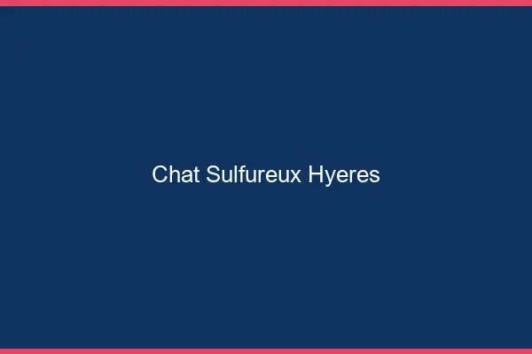 Chat Sulfureux Hyères