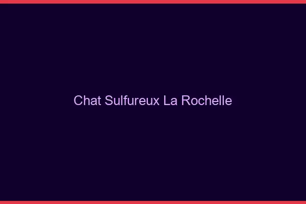 Chat Sulfureux La Rochelle