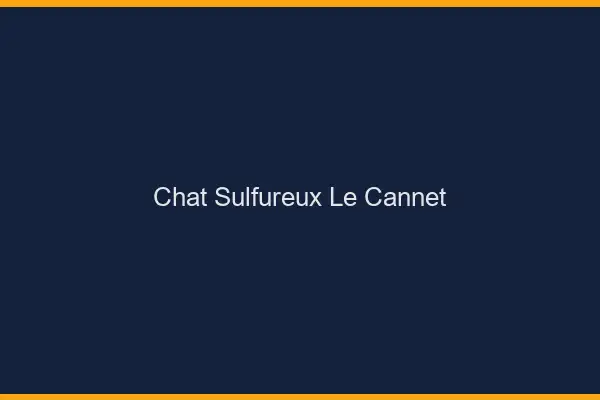 Chat Sulfureux Le Cannet