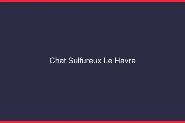 Chat Sulfureux Le Havre