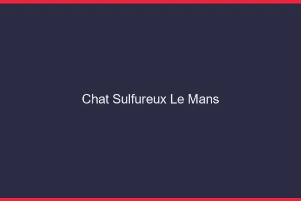 Chat Sulfureux Le Mans
