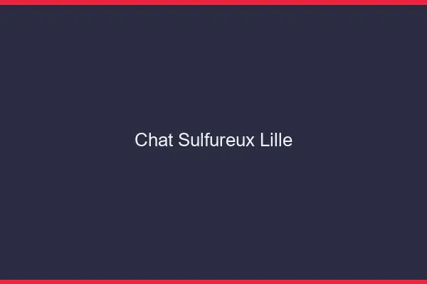 Chat Sulfureux Lille