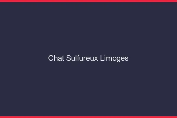 Chat Sulfureux Limoges