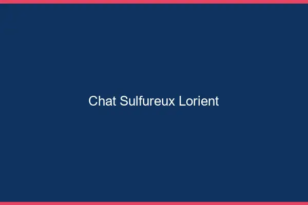 Chat Sulfureux Lorient