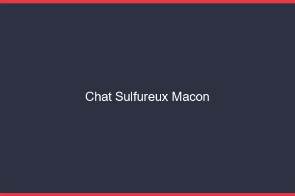 Chat Sulfureux Mâcon