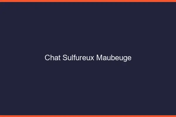 Chat Sulfureux Maubeuge