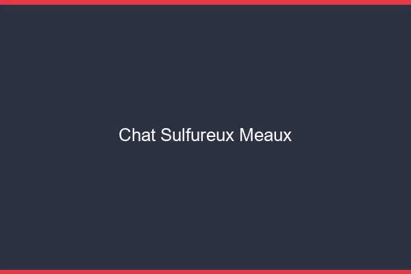 Chat Sulfureux Meaux