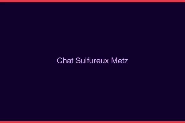 Chat Sulfureux Metz