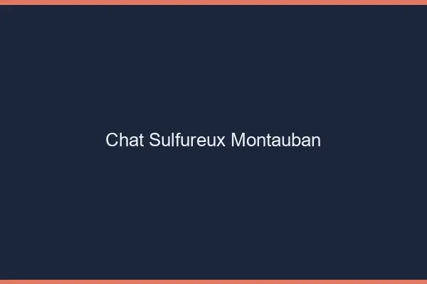 Chat Sulfureux Montauban