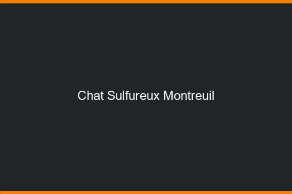Chat Sulfureux Montreuil