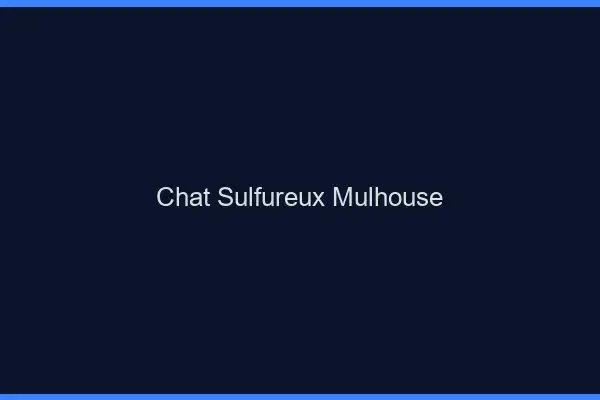 Chat Sulfureux Mulhouse