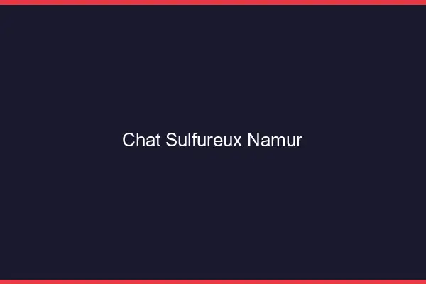 Chat Sulfureux Namur