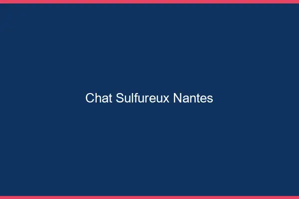 Chat Sulfureux Nantes