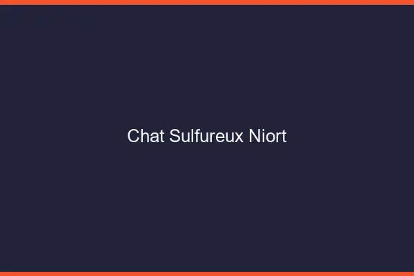 Chat Sulfureux Niort