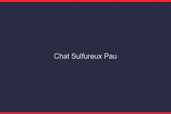 Chat Sulfureux Pau