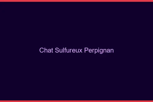 Chat Sulfureux Perpignan
