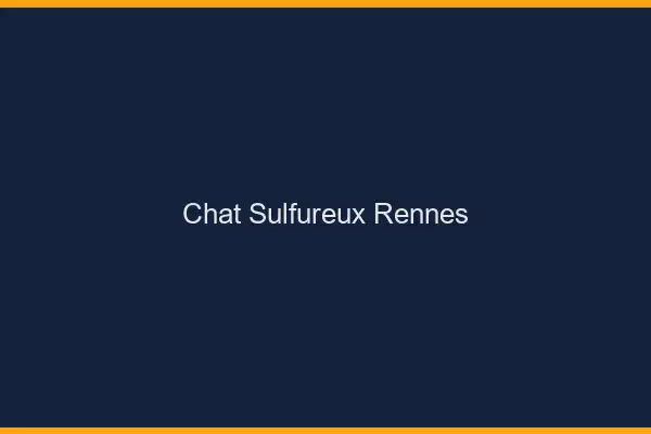 Chat Sulfureux Rennes