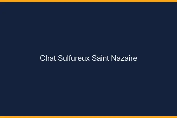 Chat Sulfureux Saint-Nazaire
