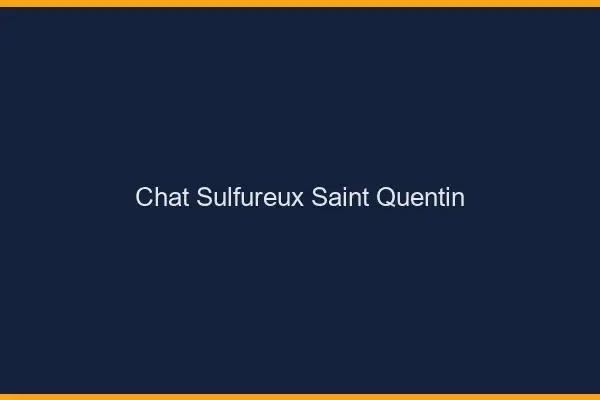 Chat Sulfureux Saint-Quentin