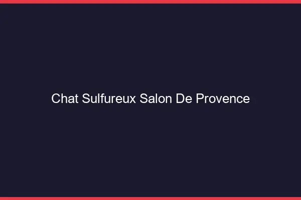 Chat Sulfureux Salon-de-Provence