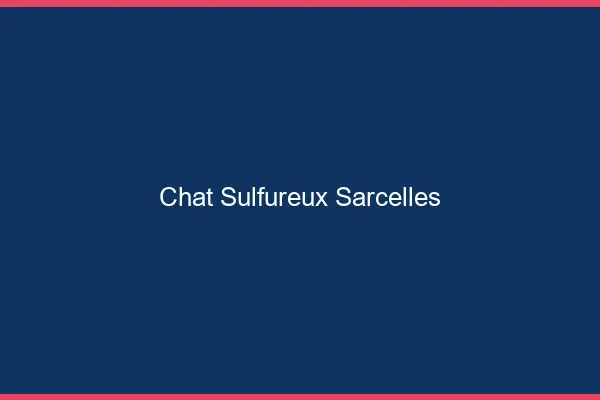 Chat Sulfureux Sarcelles
