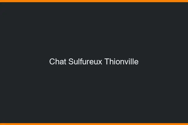 Chat Sulfureux Thionville