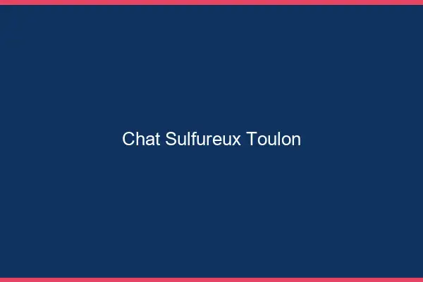 Chat Sulfureux Toulon