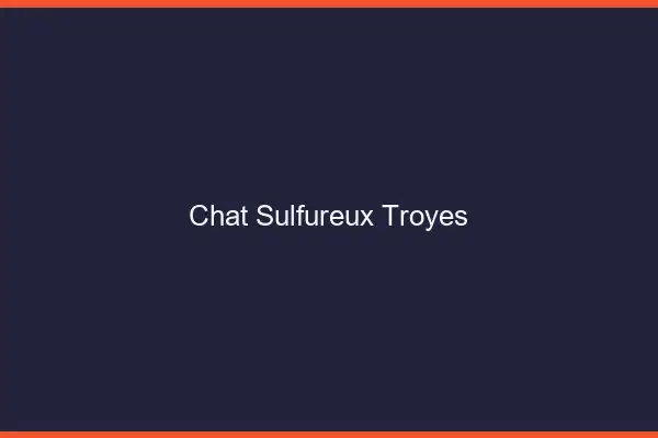 Chat Sulfureux Troyes