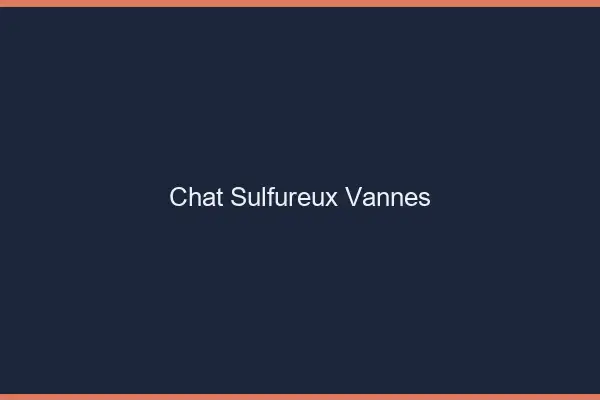 Chat Sulfureux Vannes