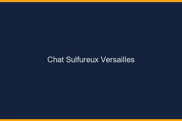 Chat Sulfureux Versailles