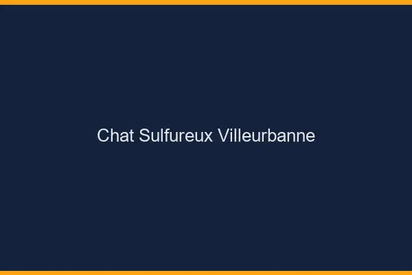 Chat Sulfureux Villeurbanne