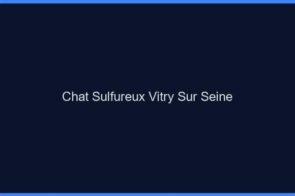 Chat Sulfureux Vitry-sur-Seine