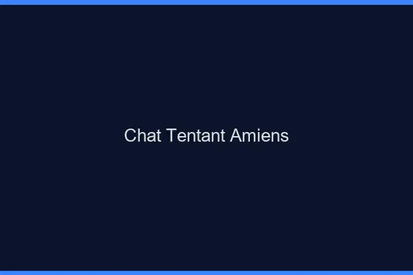 Chat Tentant Amiens