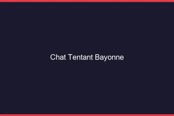 Chat Tentant Bayonne