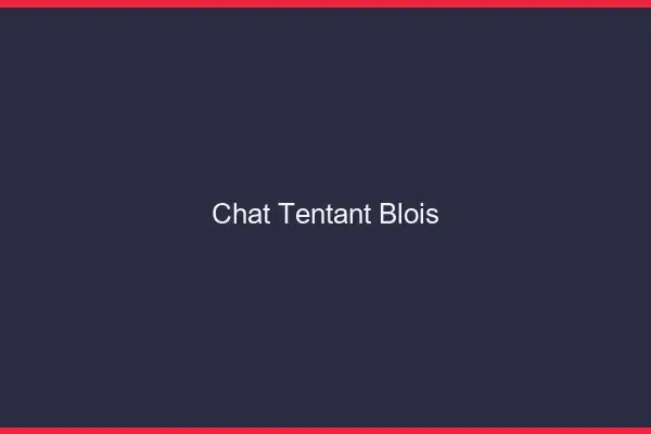 Chat Tentant Blois